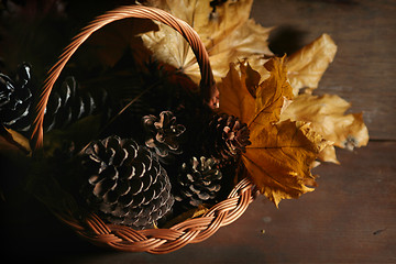 Image showing Autumnal still life