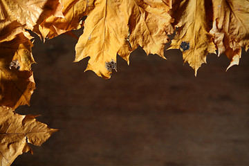 Image showing Autumnal still life