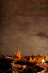 Image showing Autumnal still life