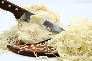 Image showing Preparing sauerkrout