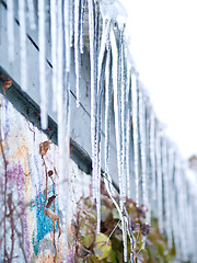 Image showing Ice cold Icicles hanging down