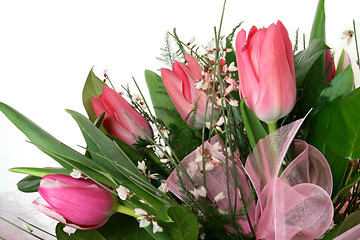 Image showing Tulips.