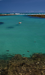 Image showing Swimming in crystalline clear waters in Porto de Galinhas, Brazil