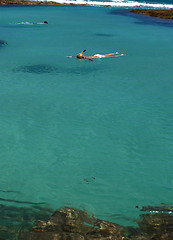 Image showing Swimming in crystalline clear waters in Porto de Galinhas, Brazil