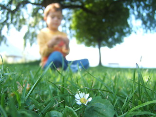 Image showing Baby and nature