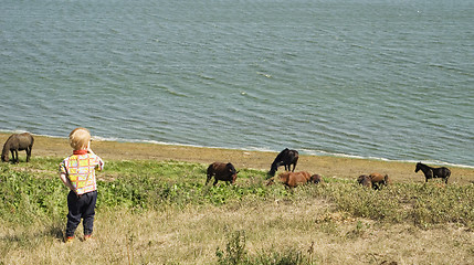 Image showing child and horses