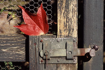 Image showing Autumn Fence