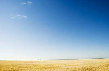 Image showing field and sky