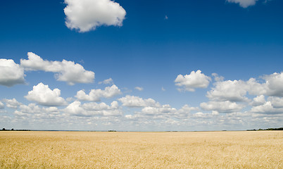 Image showing cloudscape and field