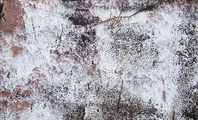 Image showing paint rusty metal