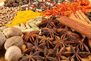 Image showing Spices.