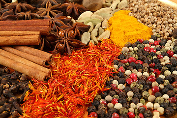 Image showing Spices.