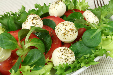 Image showing Arugula salad