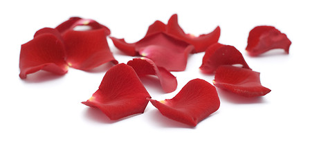 Image showing rose petals