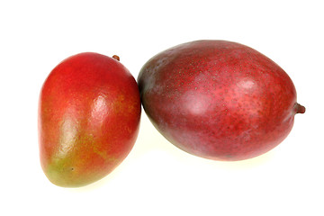 Image showing Isolated mango