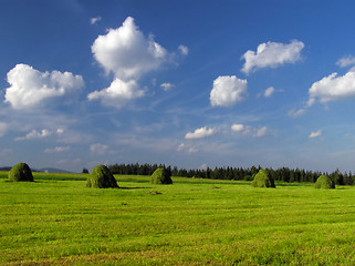 Image showing Haymaking