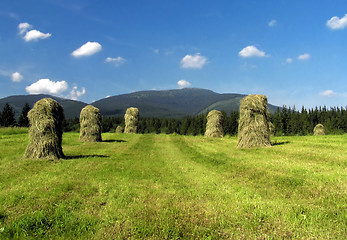 Image showing Haymaking