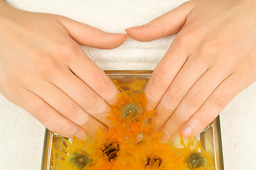 Image showing Female hands in spa