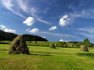 Image showing Haymaking