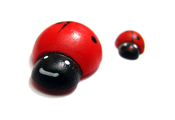 Image showing Ladybugs racing