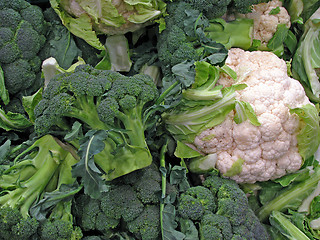 Image showing Fresh Broccoli And Cauliflower 2