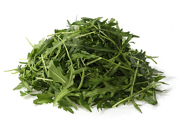 Image showing Rucola