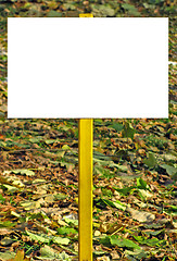 Image showing Blank sign