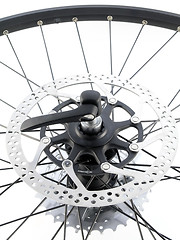 Image showing rear bicycle cog cassette