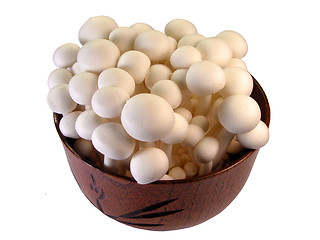 Image showing Mushrooms in a wooden bowl