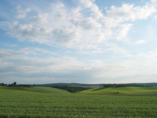 Image showing meadow landscape