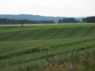 Image showing countryside landscape