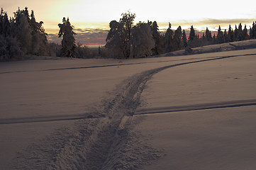 Image showing across the snow field