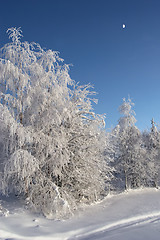 Image showing winter evening