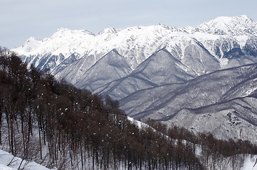 Image showing Caucasus