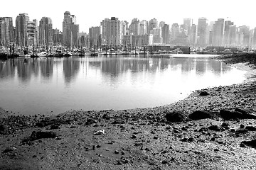 Image showing The lonely seagull vs a big city