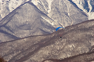 Image showing gliding