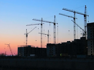 Image showing sunset cranes