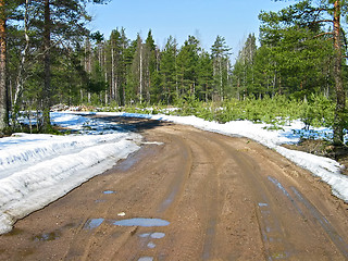 Image showing Spring road