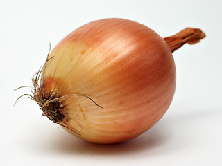 Image showing golden onion