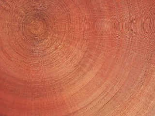 Image showing Wooden cupola