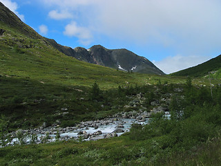 Image showing Stream in a green valley