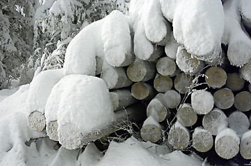 Image showing logs under snow