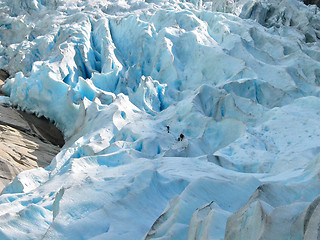 Image showing Alone in the ice