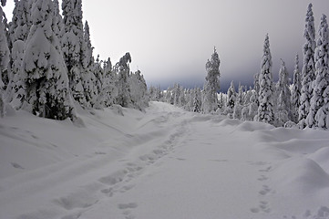 Image showing snow road