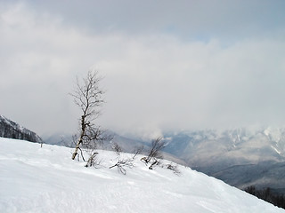 Image showing deep snow