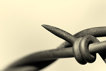 Image showing barbed wire abstract macro