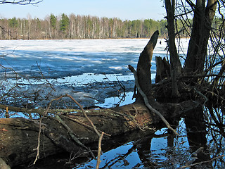 Image showing spring lake 2