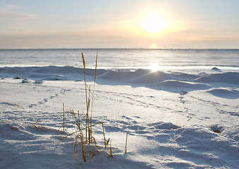 Image showing cold sunset