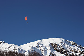 Image showing mountain paragliding