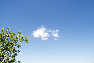 Image showing cloud and tree